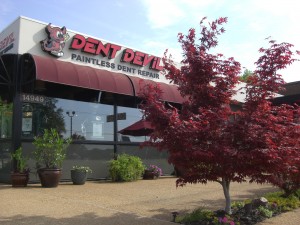 Dent Devil Shop Japanese Maple